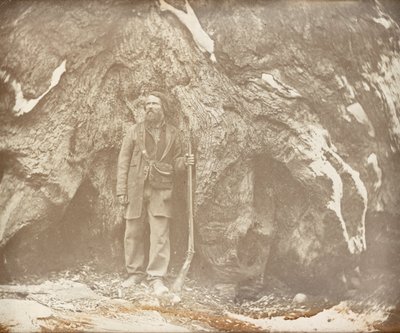 Mariposa Grove. Galen Clark. Portrait de Galen Clark - Carleton E. Watkins